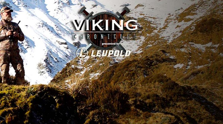 La serie Viking Chronicles