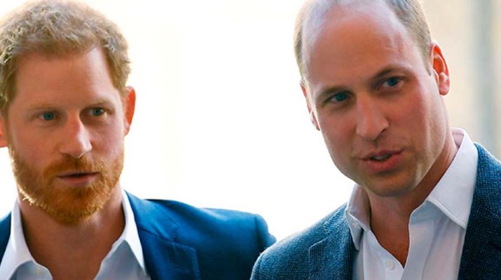 Los hijos del Príncipe William y los del Príncipe Harry no van a tener el mismo apellido