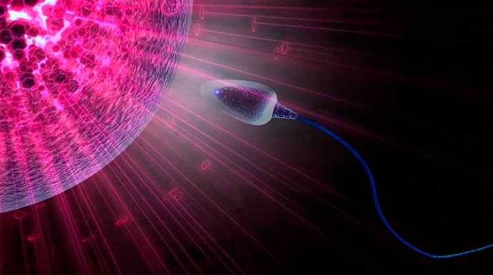 Óvulos y espermatozoides pueden transmitir una disposición genética al cáncer