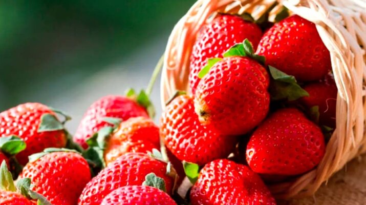 Comer una taza de fresa al día puede reducir el riesgo de demencia