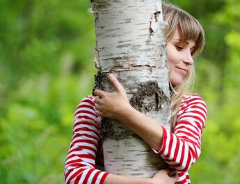 El gran poder de abrazar un árbol