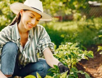 "Puttering": vivir despacio en la era de lo rápido